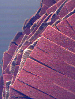 rictools Schleifstern K240 fein - Detail